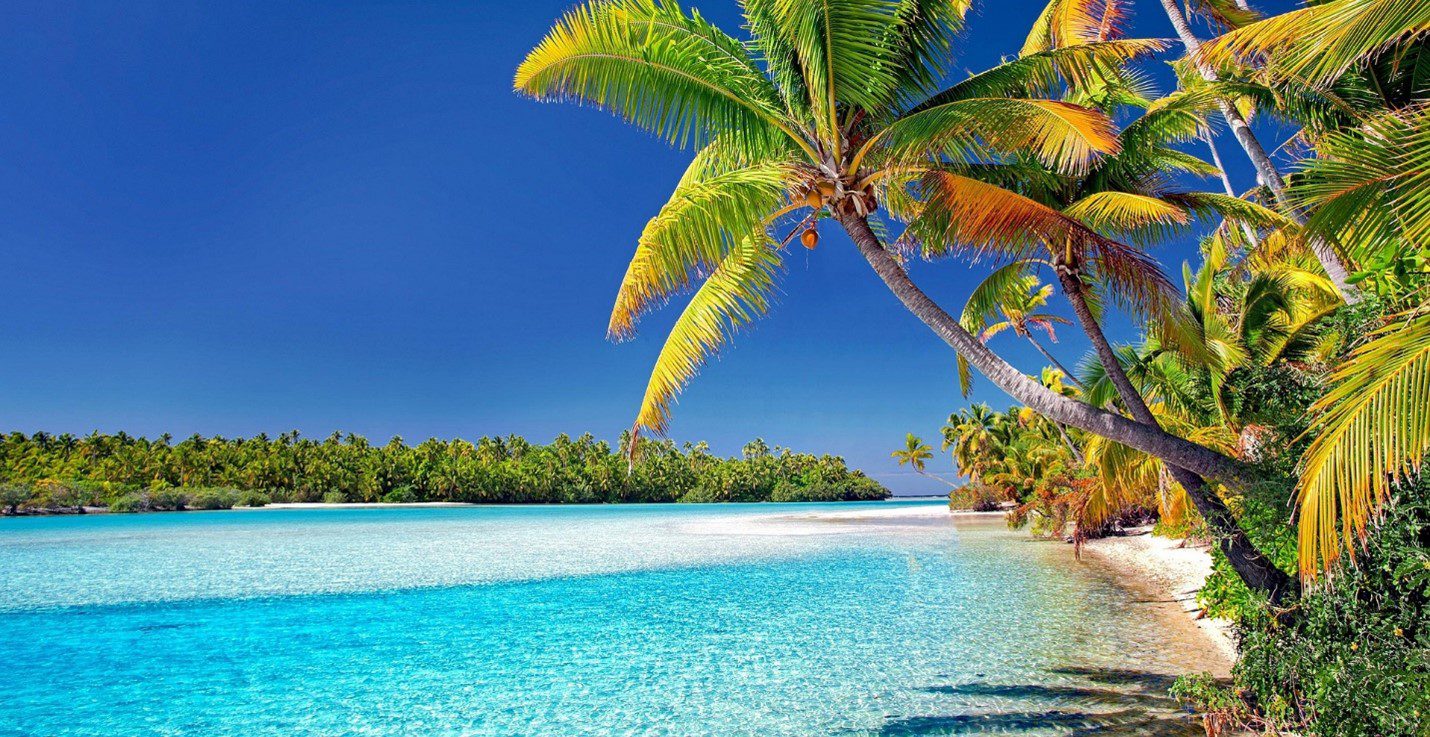 beach scene with palm trees